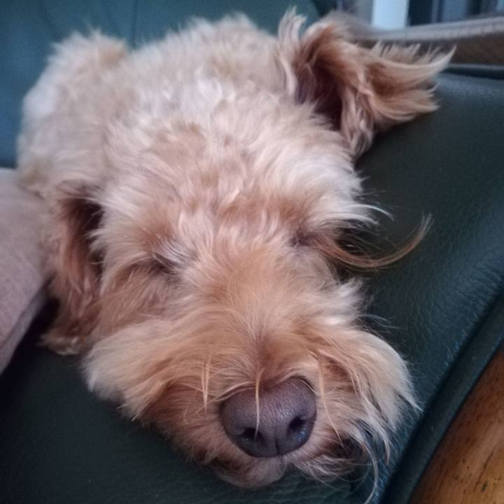 43c809a9 e635 4d77 999e c0e7187b7a6a 1534550145381