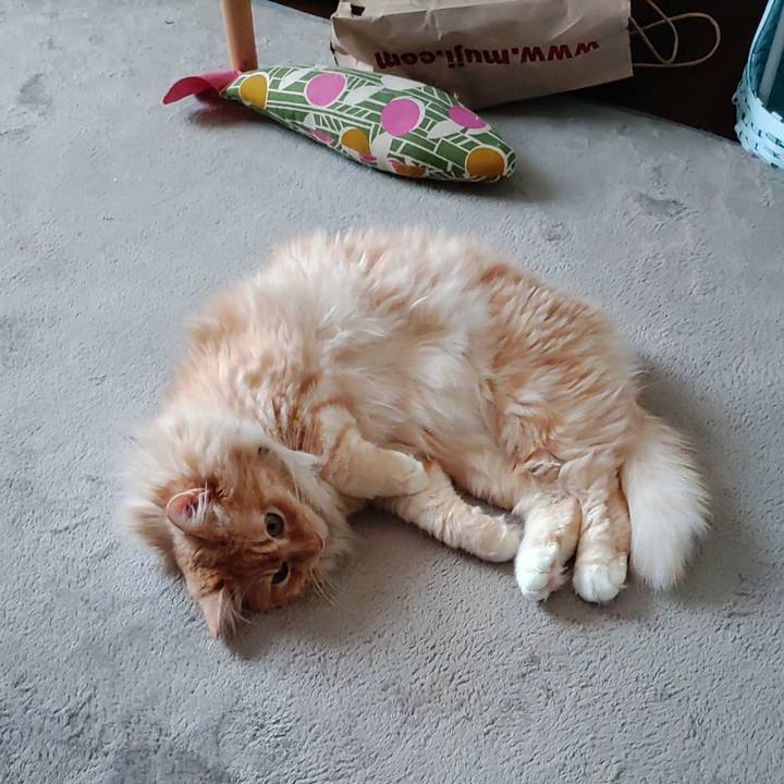 43c82165 f3c1 4205 a48b e28ab922bcc3 1656653501062