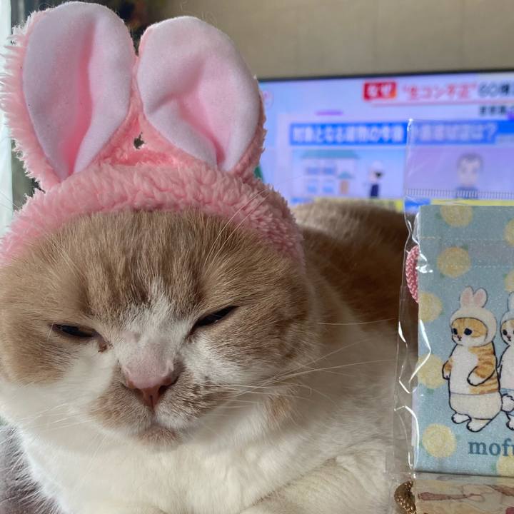 43c82190 e523 486c a6d3 e37f26853e22 1654589087986