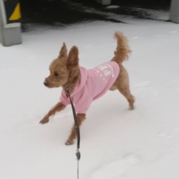 43c836c5 9ff1 4b54 9d4b df6c29550f38 1553814029443