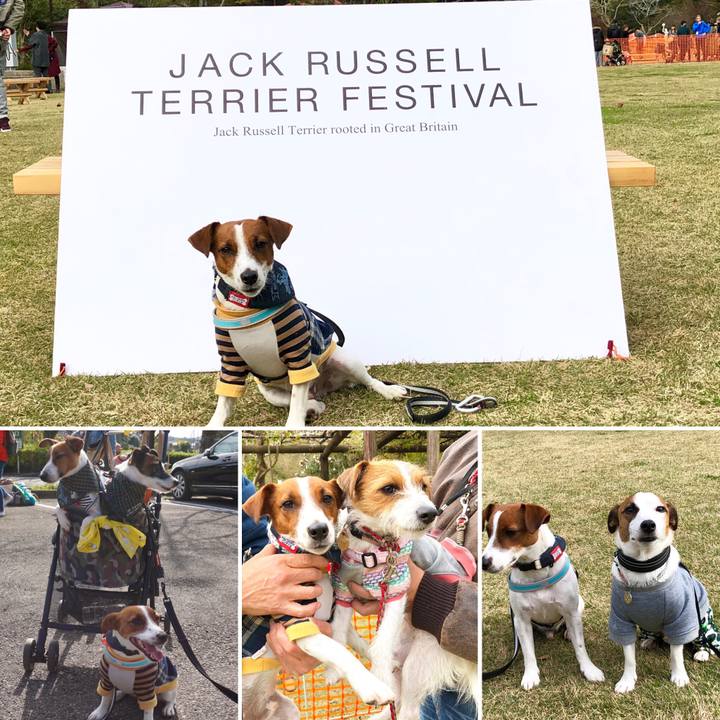 43c85327 2748 487d aa87 3c143ae0646c 1543136543161