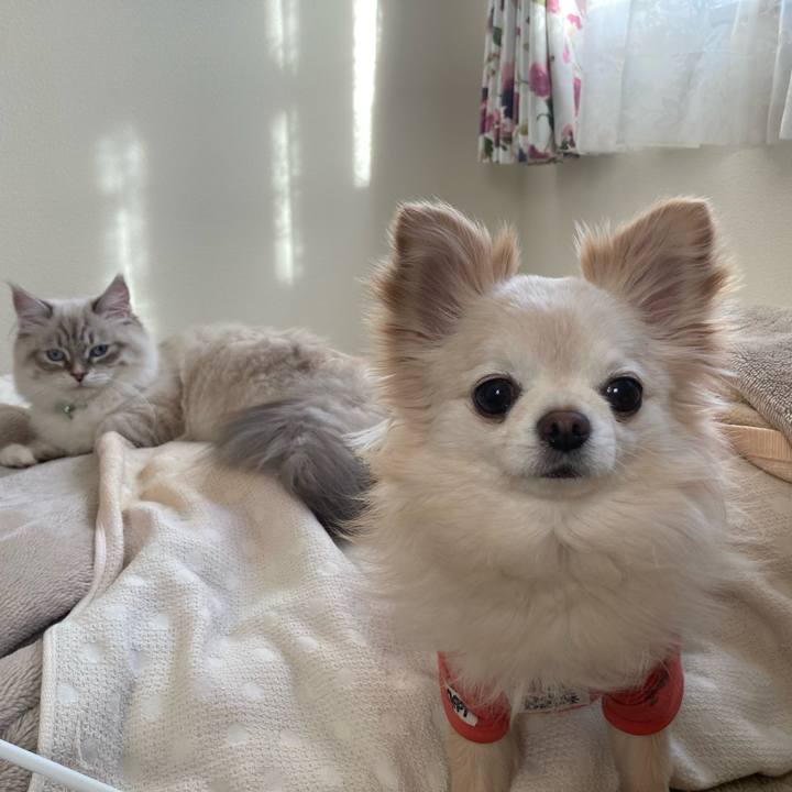 43c8732c 6ac1 457f 9777 e2c11de13738 1677763756526