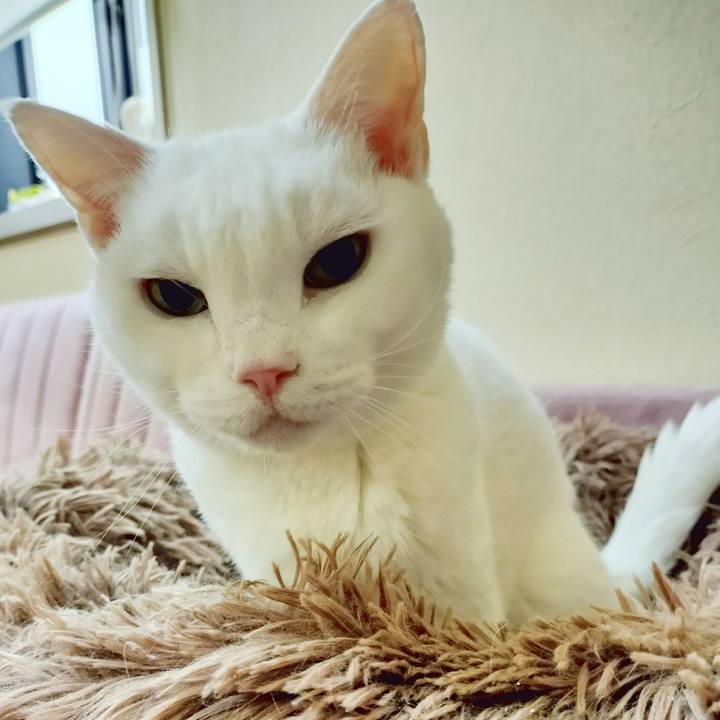 43c898ab 778b 493b ac8e 3dc6c8486d1a 1763186158416