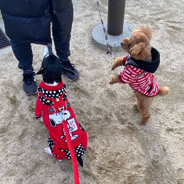 43c8ad92 5a37 4953 85b1 049402e7a6bb 1614393172648