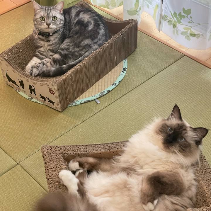 43c8d7cf 7e0e 430c 9f36 e1a264c2dcf7 1634534403693