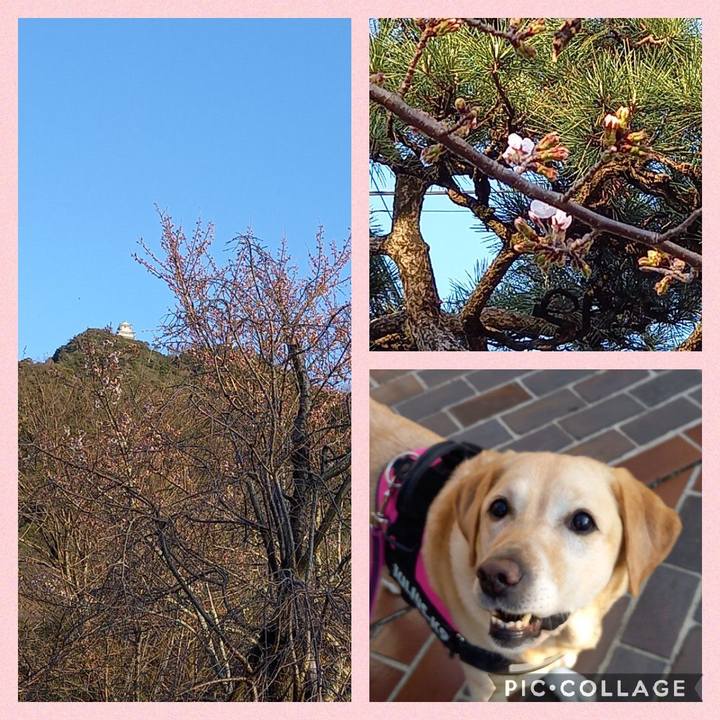 43c8e2fa 6a56 41b5 a6d7 3c3ee1181d8a 1615721593689