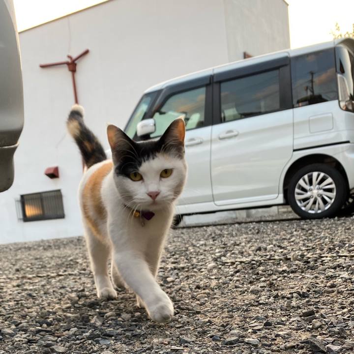 43c8f95c 243e 4608 a53a 5e58ac90acee 1635633597348