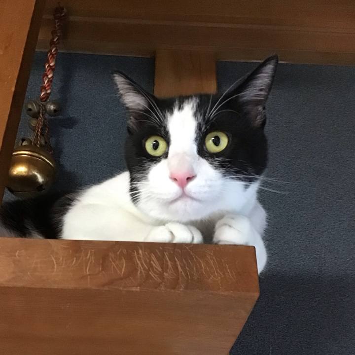 43c95674 5150 4220 9f38 5bd5c9c3f8d1 1690631258255