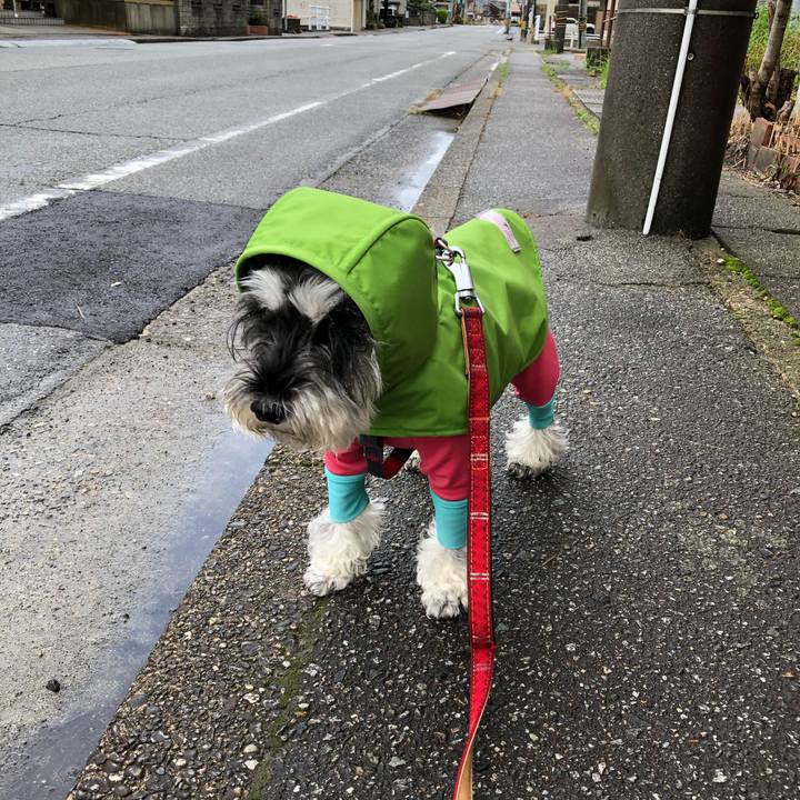 43c959db 9086 485f 8239 847a3301c529 1665371494650