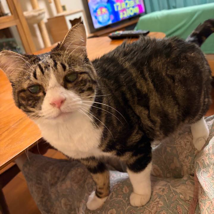 43c96430 b26c 43b0 8f5a 3d6f8d14ef57 1764595067094