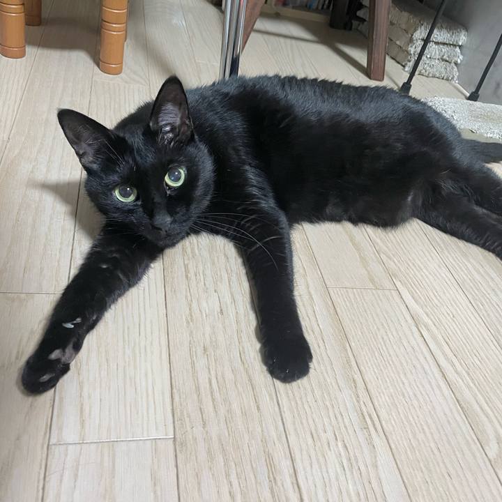 43c98b1b 3c9a 43c6 9de8 106c76b506ad 1704805953203