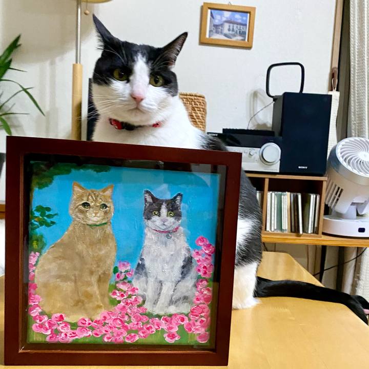 43c98ef5 4b08 44af b772 27d3c38076b1 1679271859196