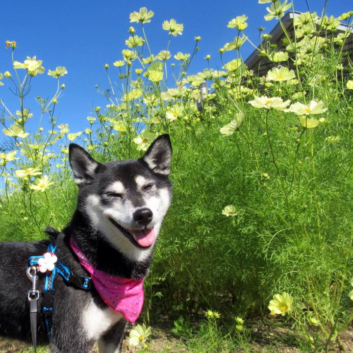 43c9a5e1 5297 47ba bdb6 687877d6ae06 1603493066311