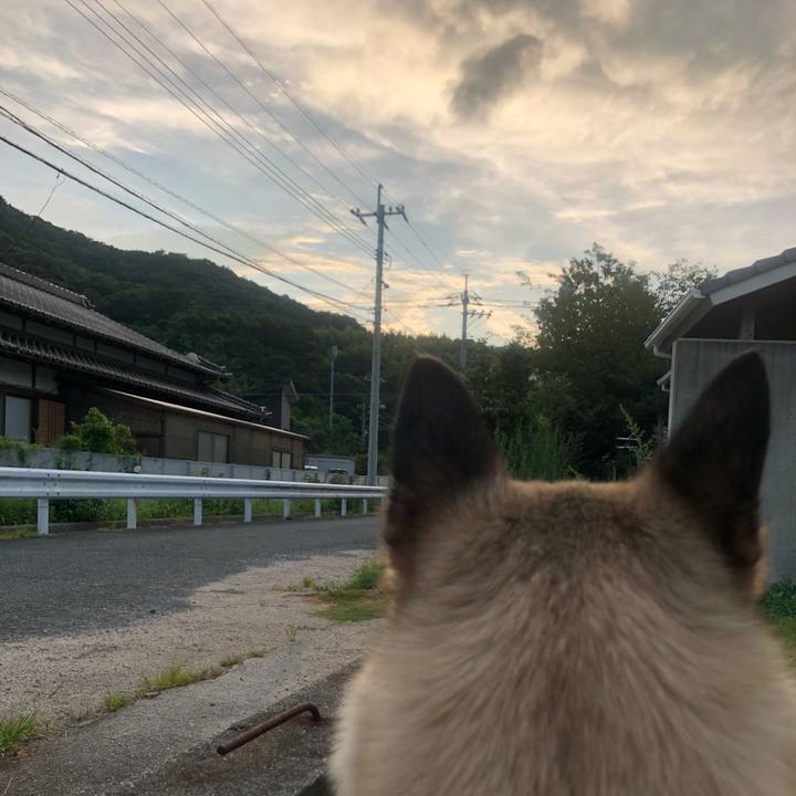 43c9d8d8 b39a 4121 8d04 f2f0dac2e07a 1627904790981