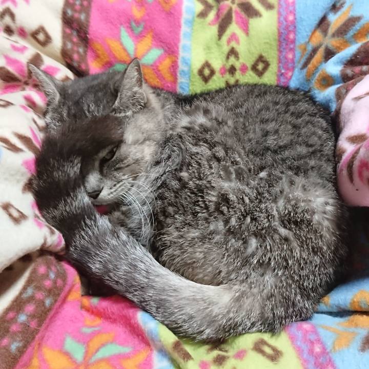 43c9e144 01f1 49a5 a60e 52c8b4545432 1584530939360