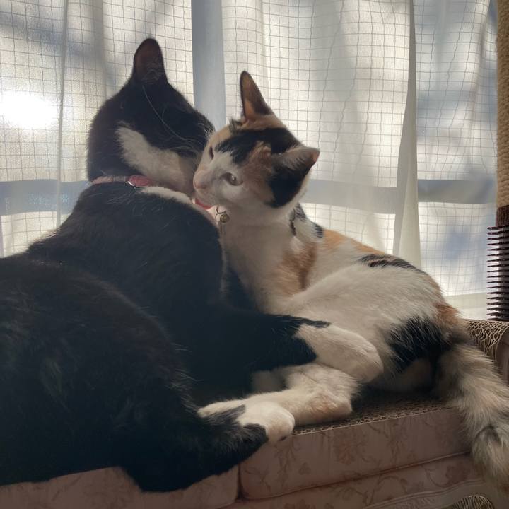 43c9e7bf 0474 4ef5 a037 0a8b38f57464 1674688887554