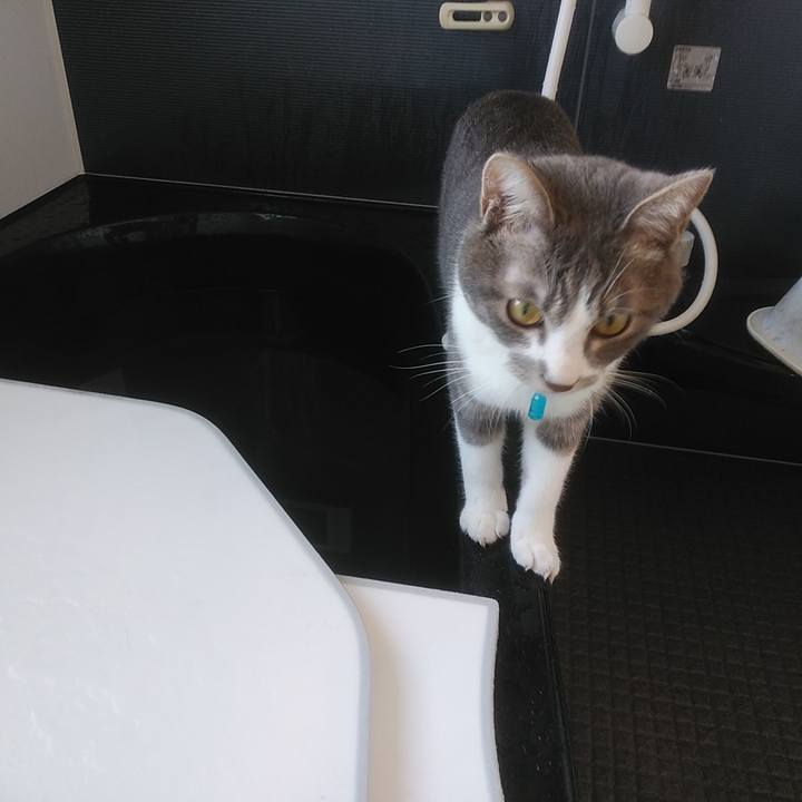 43c9f19e 1ff7 40d7 bca0 f0c1728f2492 1587855114167