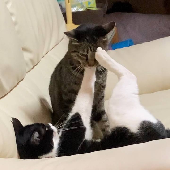 43ca001e 57a5 4c7c ad95 58e00f7bcf31 1650629633210