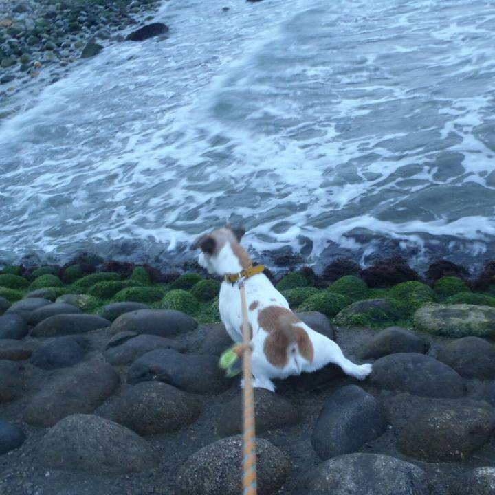 43ca235b 29ee 4748 be34 c4b8f985aaf0 1508231979796