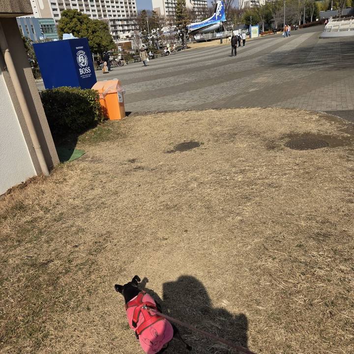 43ca289c f386 4852 9ff5 0684959d53b5 1771823781908