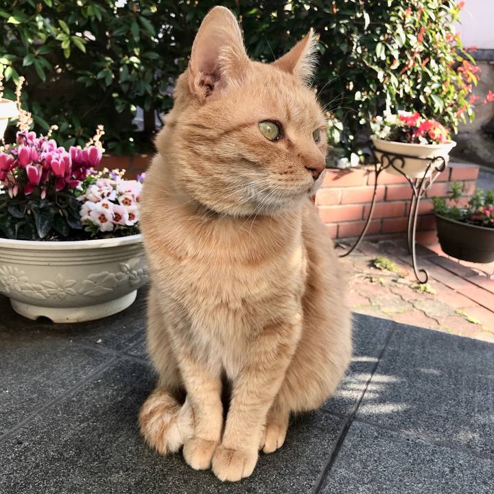 43ca34b6 4a40 42fe a2e9 3814ac3b15f2 1519976010685