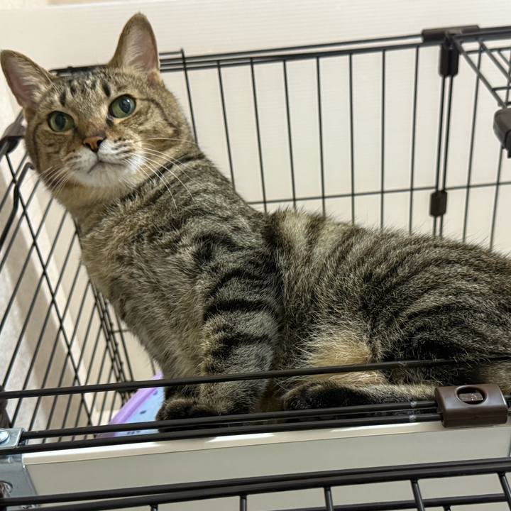 43ca4dbb 0da4 4a55 b29e a7e4d173f88c 1758897544065