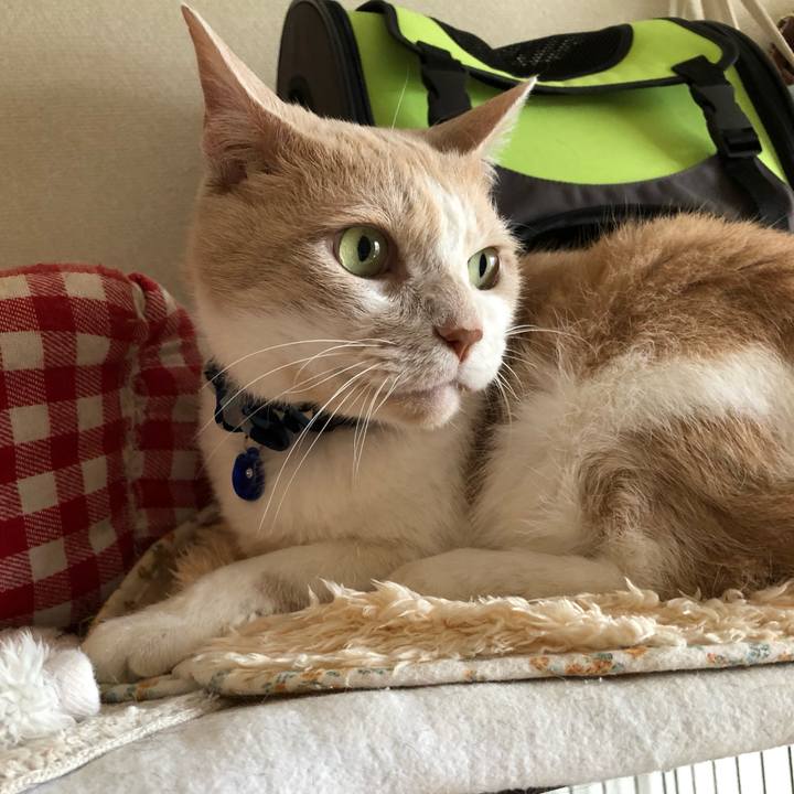 43ca52a8 46dd 46f2 bc9b e13f18b08b28 1559459164996