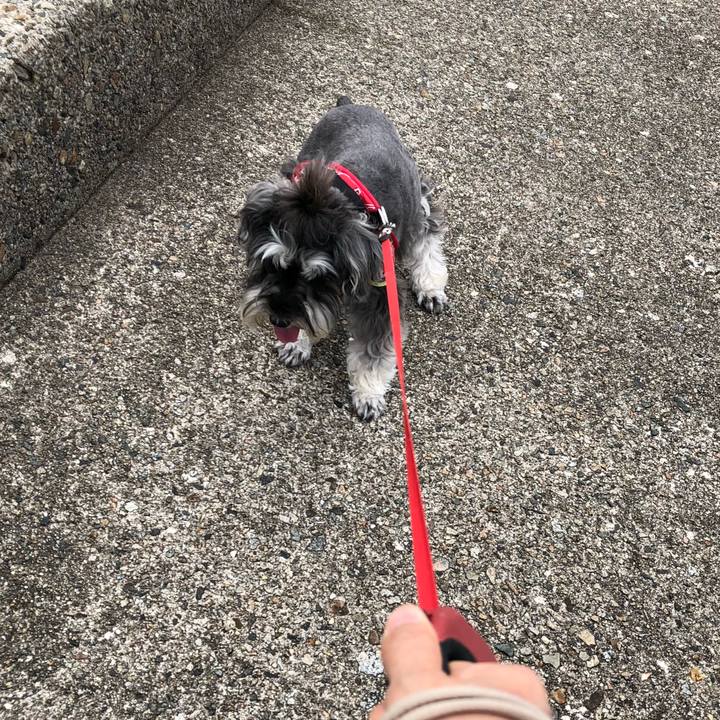 43ca53cb e0dc 4f07 8a12 9858b6543185 1529195502122