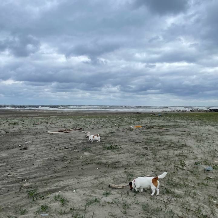 43ca7a79 a035 4635 ad61 fbf5c94d52e4 1681691259855