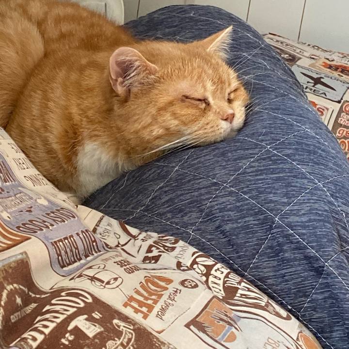 43cab2f0 3d6c 4708 b905 cafce65df946 1644032692785