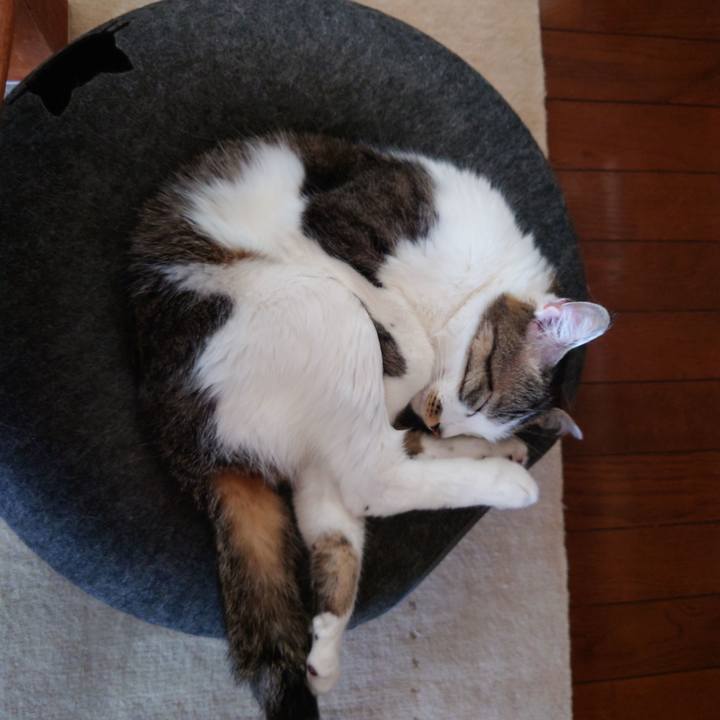 43cab479 a5cb 4e97 853b 96d0dc54edf6 1750296391782