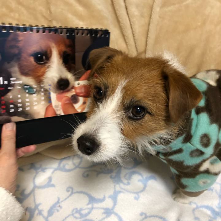 43cae8e6 3703 4d9d a3e2 6934a17c76b6 1546065295257