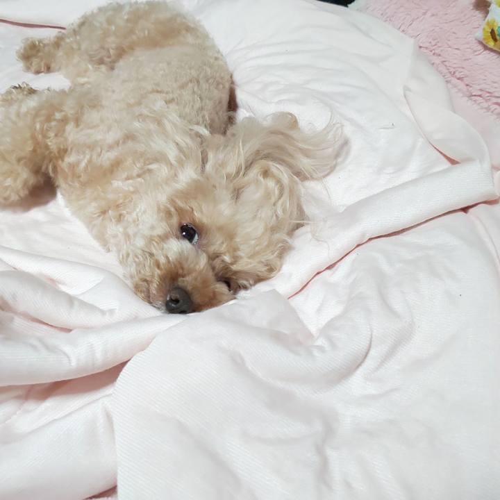 43cb32f8 680a 46df acc3 5961866bb21c 1564923977914