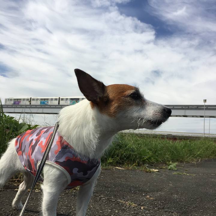 43cb4d88 57e3 4c98 a934 1ab9066c2e41 1569631047341