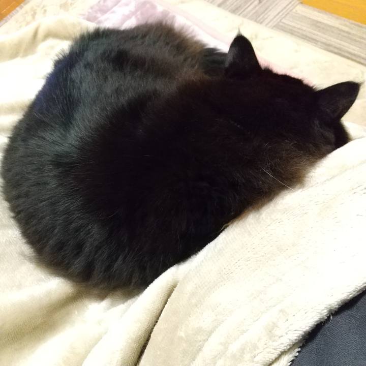 43cb62a7 1878 4e1e 91cb 9fa1329cab02 1670240357731