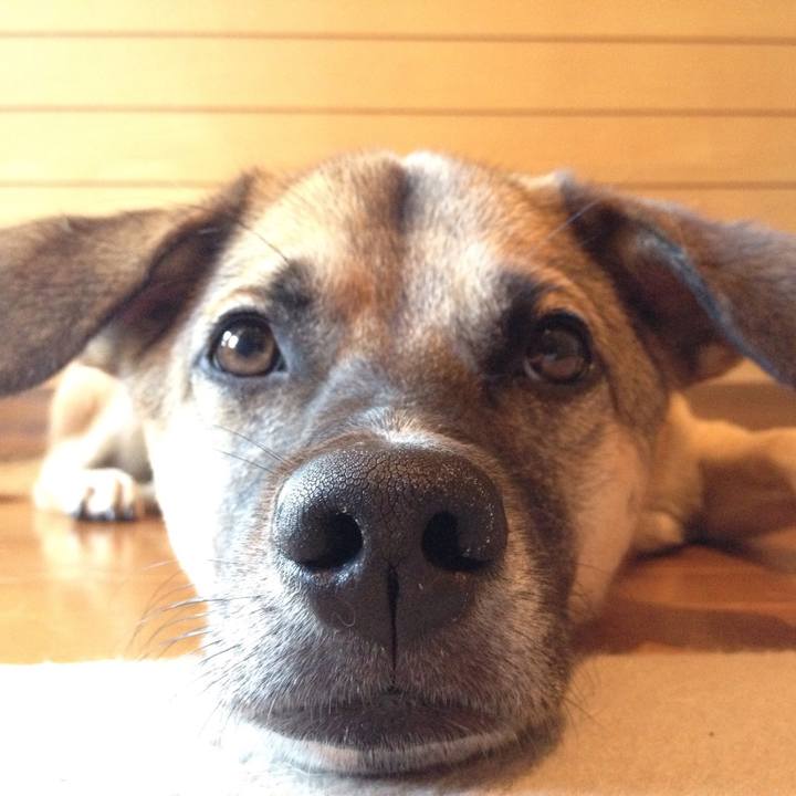 43cb76c6 0506 4a22 bf3c 84f9f41b34db 1525854185117