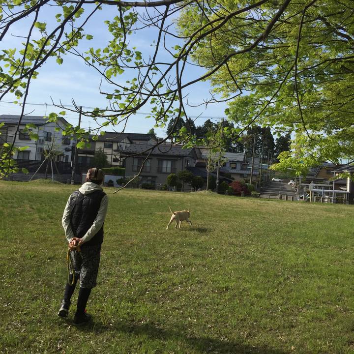 43cb85ac de7b 4f80 91b6 08fb42773d8d 1584761214673