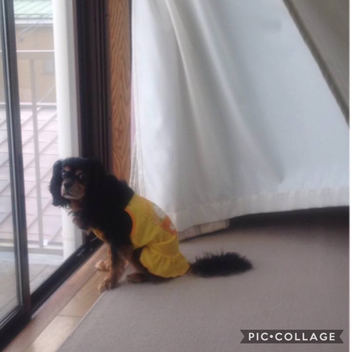 43cb944f dcf3 407b 8cc5 0d9cdb04d7fb 1542376863217