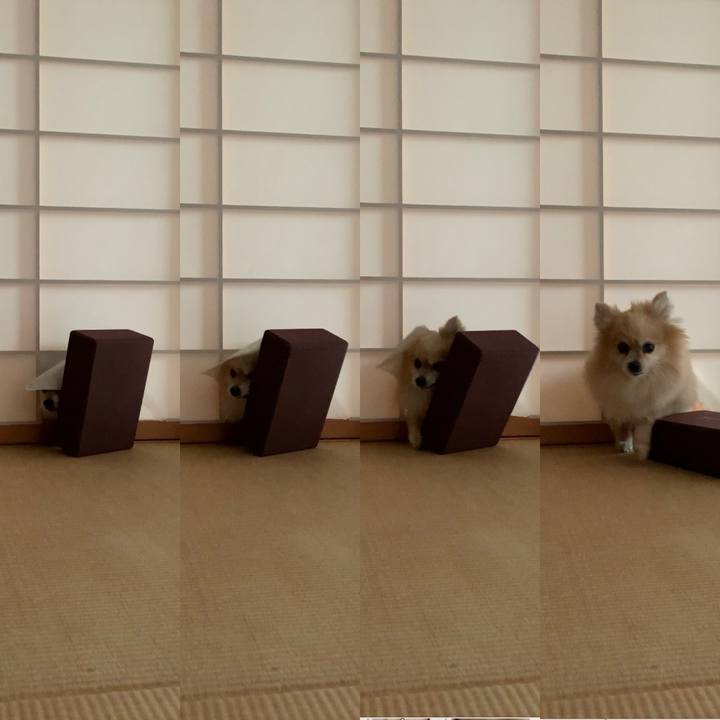 43cb9961 a672 4402 949d 121744ecf1b0 1623386791293