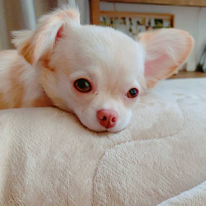 43cbabc1 500f 4a3a bd59 558878febf79 1629537297066