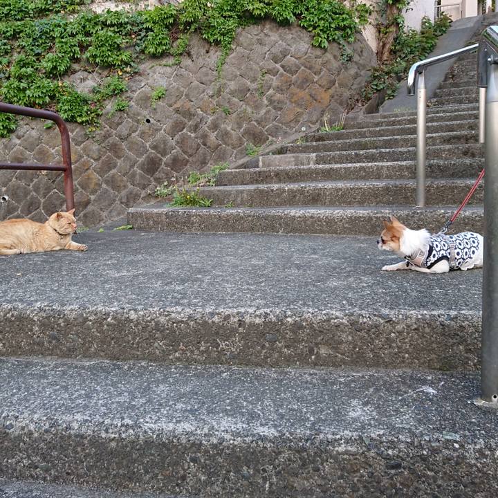 43cc063d 0d3b 4787 91d0 49246ec4efea 1555972896711