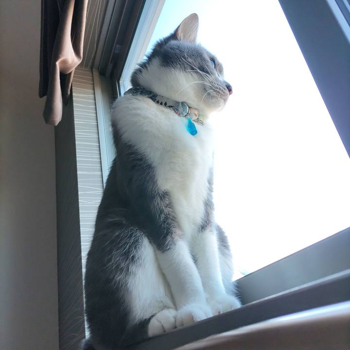 43cc31aa a4bb 4897 84f3 b6356afb8184 1671841908903