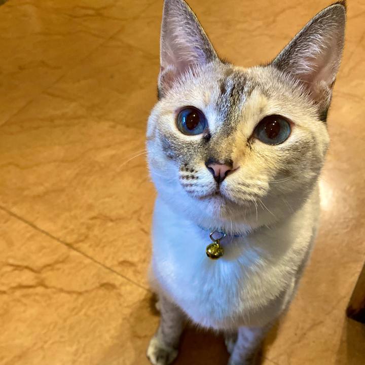 43cc45c6 5589 4971 8480 1e87e70ef003 1693043004453