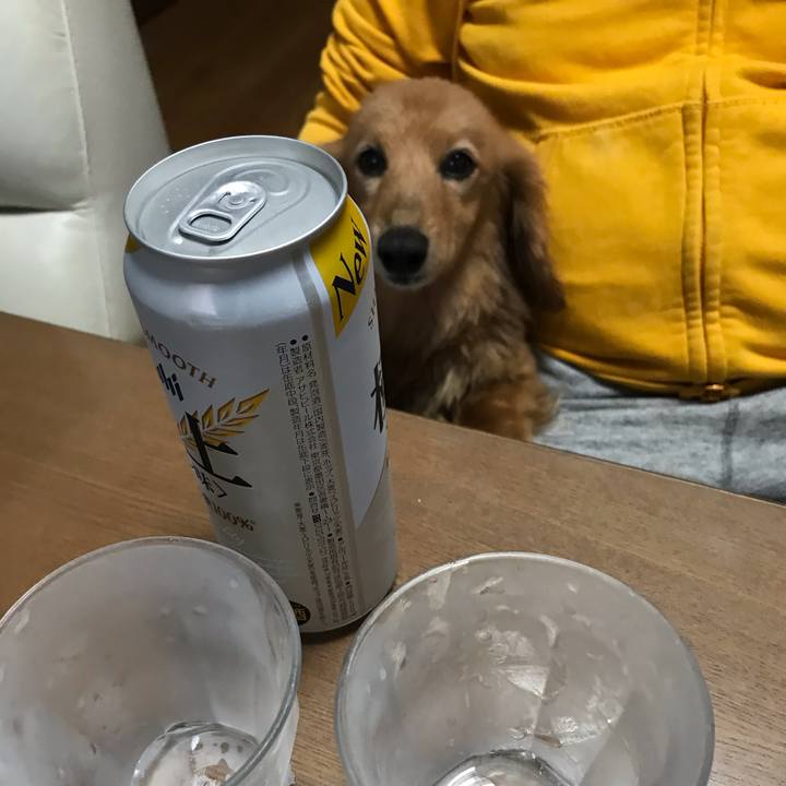 43cc7828 aca4 4395 a34c 3772b2973c42 1586595288138