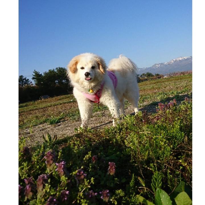 43cc8650 d780 446e 9813 bc3993b4b0ce 1524088123097