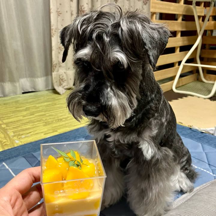 43cca249 17f6 4176 8697 299f9fe753a3 1719921600005