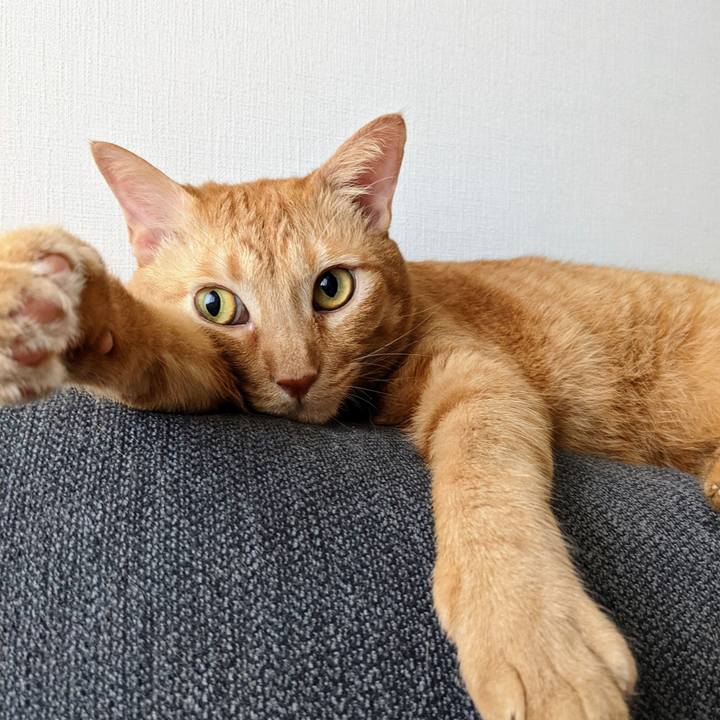 43cca457 6cfe 4e4a 8c61 5a146242e9df 1661296301898