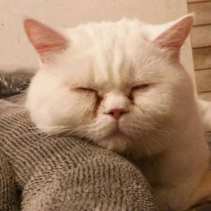 43ccc7ea 1510 4219 badc ef892b629551 1548368611415