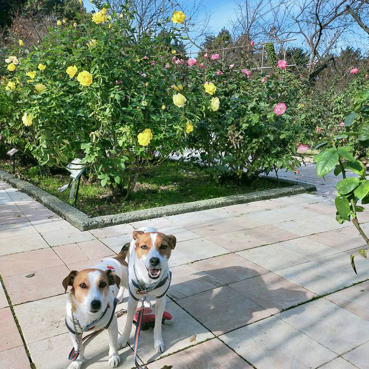 43cd28e6 5b16 4ccd 8e75 6de65a2367b7 1763890177895