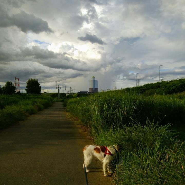 43cd45cb f078 42e3 9fad e6b919d4c63c 1534853030886